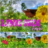 🍄 Ling Noi Farm🥀พัทลุง