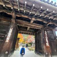 京都の風情がぎゅっと凝縮【二尊院】✨