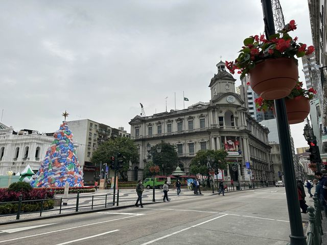 Christmas Feels at San Malo! 