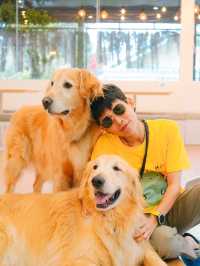 Husky House Cafe ชลบุรี