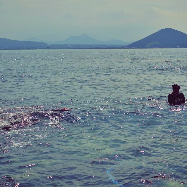 🏖 모래가 아닌 산호로 빛나는 해변, 우도 서빈백사해수욕장