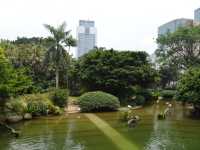 Kowloon Park - A green Paradise