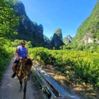 I YANGSHOU SO MUCH! 