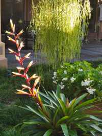 Bok Tower Gardens, Florida's hidden paradise