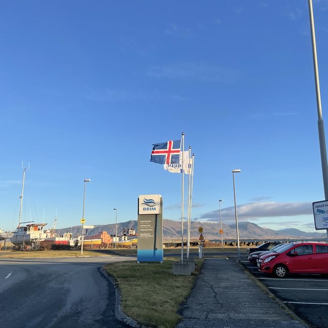 🇮🇸冰島遊記 Harbor in Reykjavik 超美的夢幻小屋
