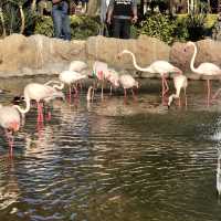 Al Areen Wildlife Park & Reserve