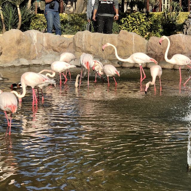Al Areen Wildlife Park & Reserve