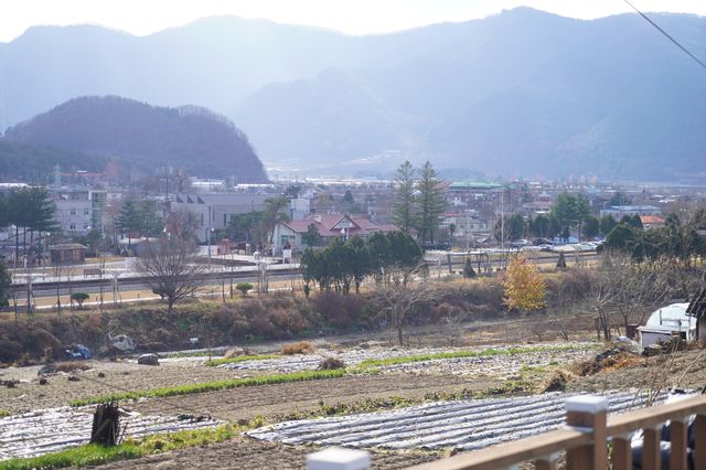 쫄깃한 식감의 정선 수구레해장국