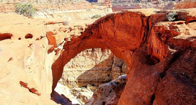 The park boasts the most spectacular geological structures in the American West.