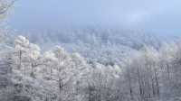 Climbed to the summit of Mount Ryoukou in Japan, one of the 100 famous mountains, during the severe winter season.