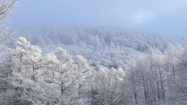 Climbed to the summit of Mount Ryoukou in Japan, one of the 100 famous mountains, during the severe winter season.