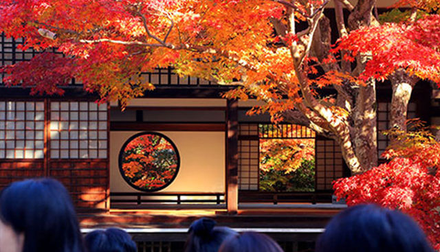 【2023日本紅葉】關西・近畿人氣賞楓景點推介：大阪、京都、奈良 | 大阪