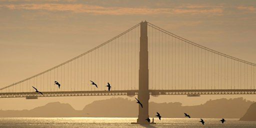 Birding Walk: Through the Presidio with Nocs and Birder Extraordinaire JT | Sports Basement Presidio