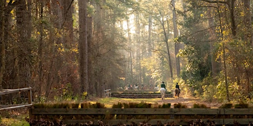 Aiken Hounds Spring Hunter Pace | The Stable on the Woods