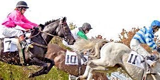 Virginia Gold Cup - Venture X Staff Outing | Gold Cup Drive