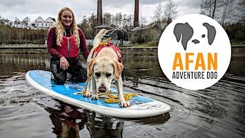 Introduction to Dog SUP | Spring Valley Lakes