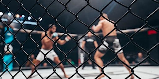 UFC 303 - McGregor vs Chandler | 3780 Las Vegas Blvd S