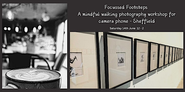 Focused Footsteps - A Mindful Walking Photography Workshop for Camera Phone | Sheffield Winter Garden