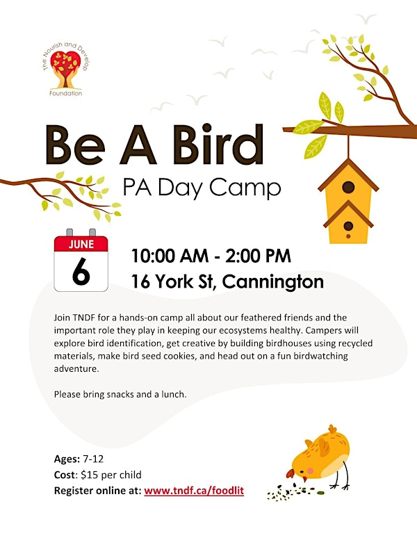 Be A Bird: PA Day Camp | 16 York St