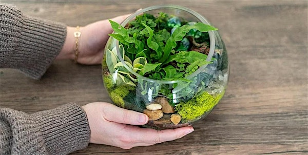 Make-n-Take : Terrariums at Mahoney's Concord | Mahoney's Garden Center