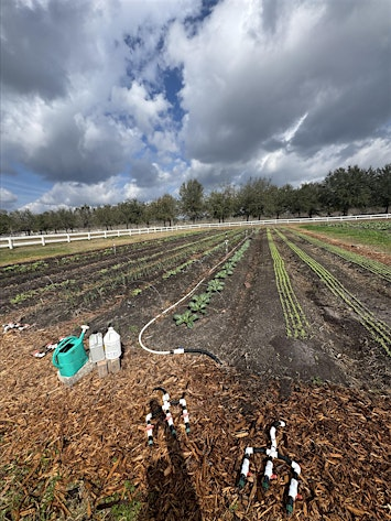 MICROBES WILL SAVE THE WORLD! | Congaree and Penn