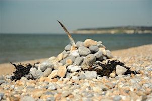 Corporate Wild Work Day: Blue Mind: A Beach Digital Detox at Rottingdean | Rottingdean Beach