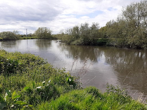 Beeston River Meander | Beeston Rylands