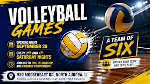 Volleyball Games | 950 Mooseheart Rd