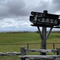 Boys Be Ambitious！ 少年よ大志を抱け