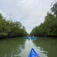 Kayak & exploring Bagan Lalang 