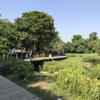 香港濕地公園