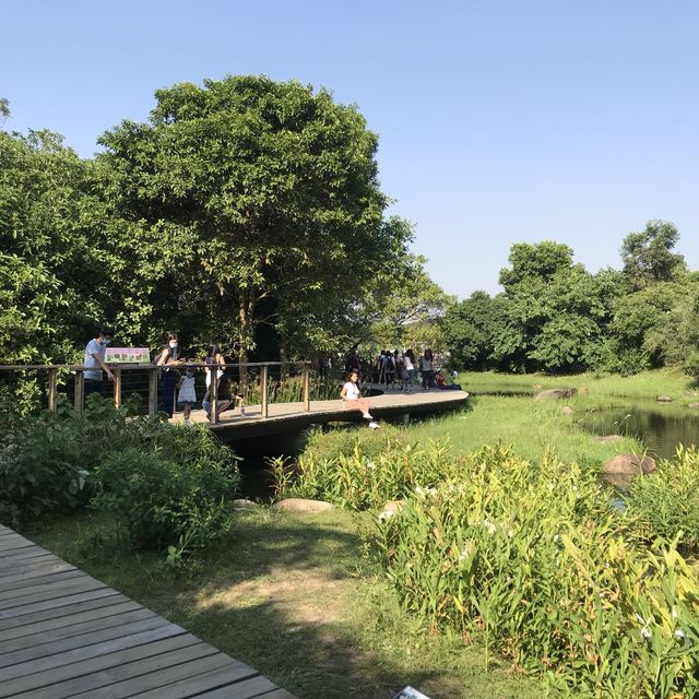 香港濕地公園