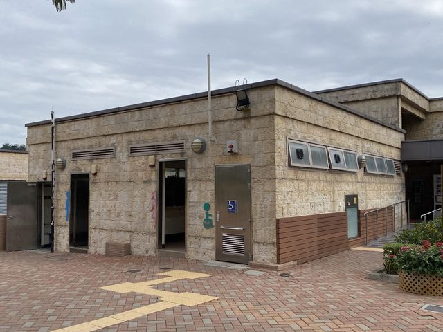 草地任你滾 佐敦谷公園