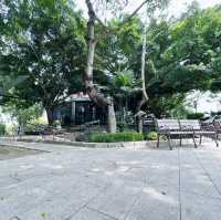 賞花攻略 元朗公園