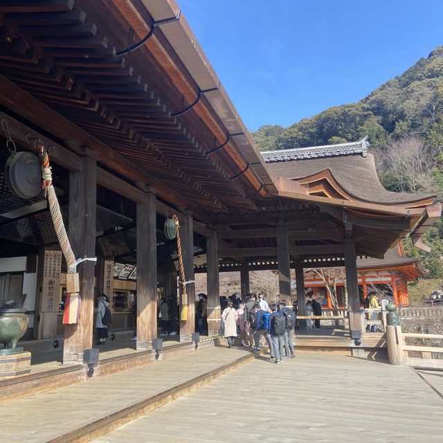 【京都旅行の醍醐味！】京都で人気観光スポットを巡ってきた