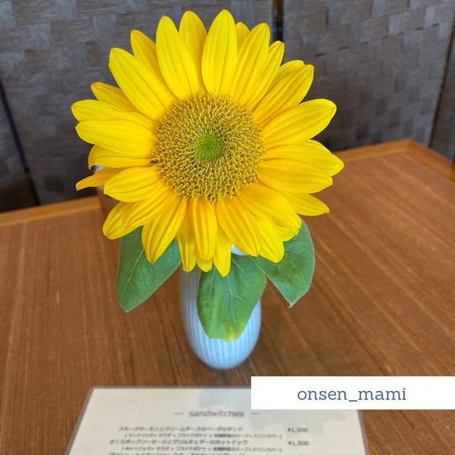朝ごはんは、野菜多めのビュッフェが嬉しい🍱