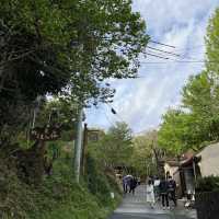まるでおとぎの国⁉︎ ぬくもりの森🌳