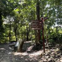 MacRitchie Reservoir and TreeTop Walk! 🌴🍃☀️