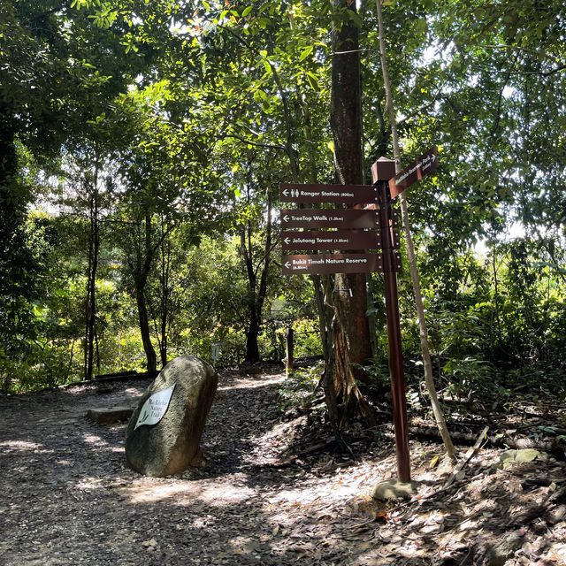 MacRitchie Reservoir and TreeTop Walk! 🌴🍃☀️
