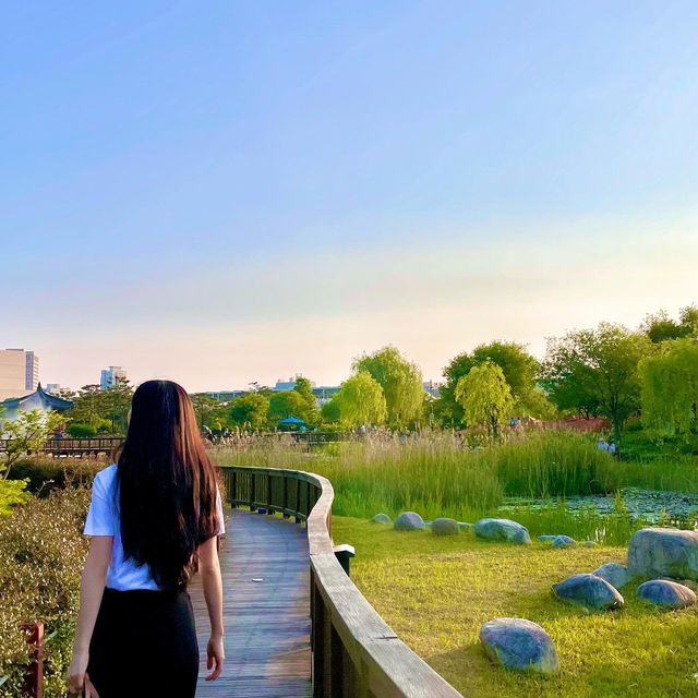[대전여행] 한밭수목원의 풍경