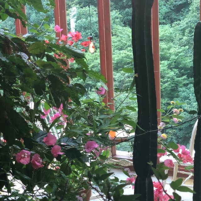 포토존 가득한 경북 성주 카페🌷리베볼