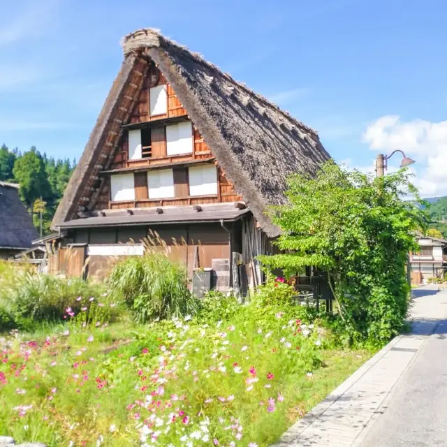 世界文化遺產~白川鄉合掌村｜走進童話故事｜日本一生必來一次