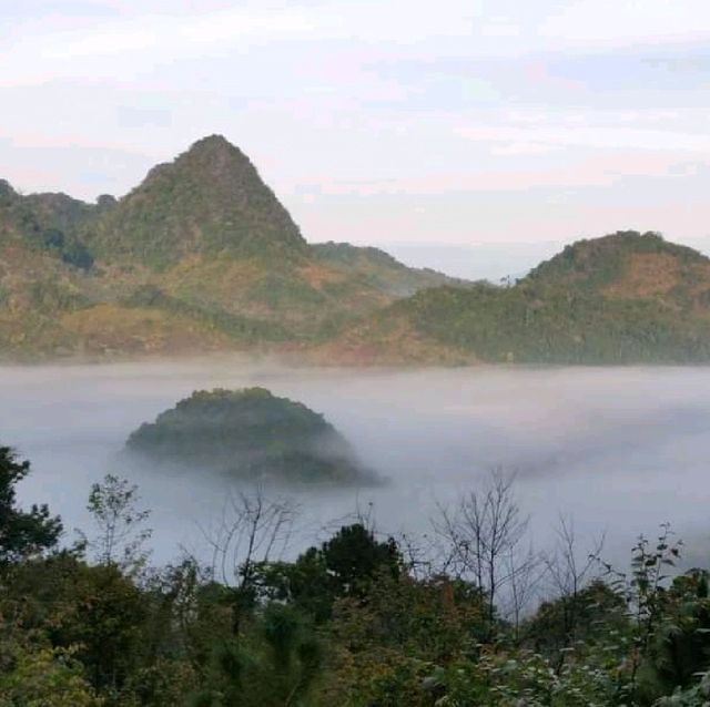 ทะเลหมอกสวยๆยามเช้าบนดอยอ่างขาง 🥰