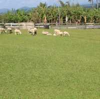 Quituinan Ranch in Bicol