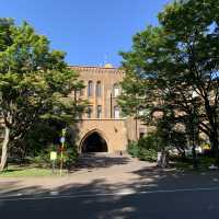 秋空オススメお散歩コース🚶北海道大学