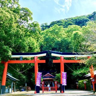 [Kagoshima] A very unusual pair of torii gates