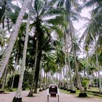 Experience Kampung Vibes in Kampung Agong!