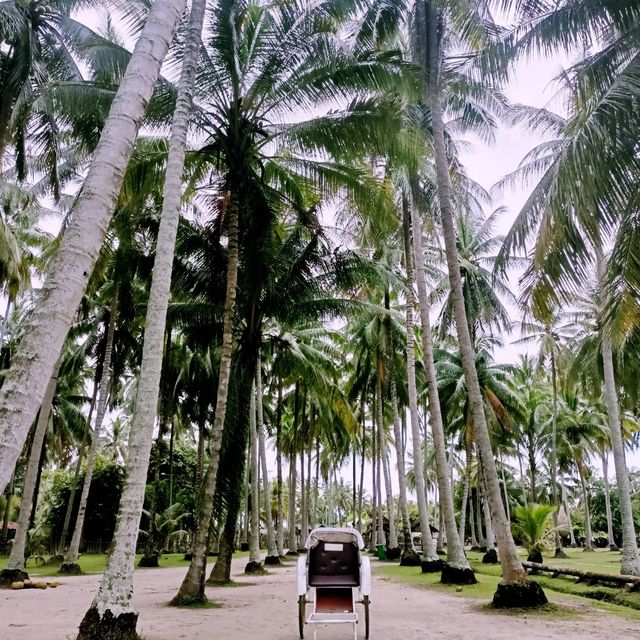 Experience Kampung Vibes in Kampung Agong!