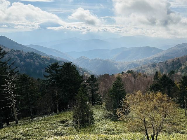 美ヶ原高原