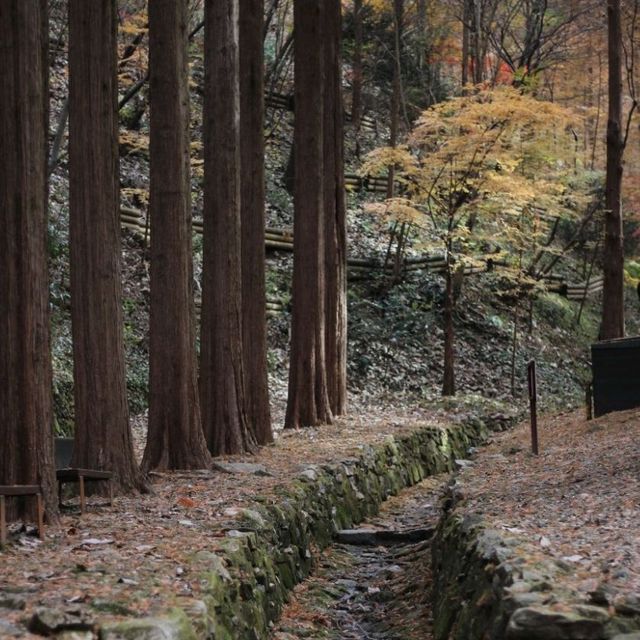 Favorite Season in South Korea 